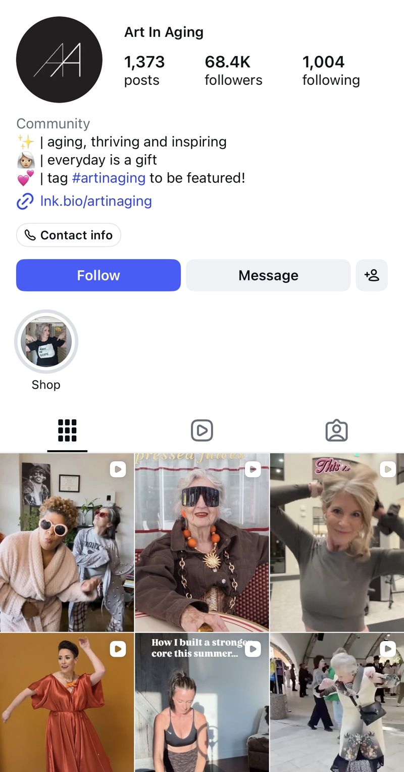 The @artinaging Instagram profile: 1,373 posts and 68.4K followers